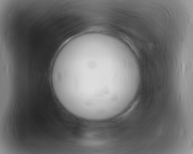 X0000099461465200805090738