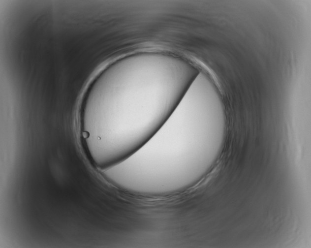 X0000099461467200805090737