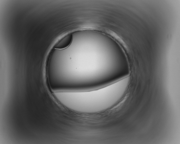 X0000099461469200805090737