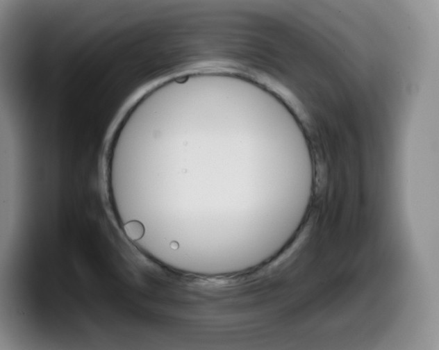 X0000099461470200805090737