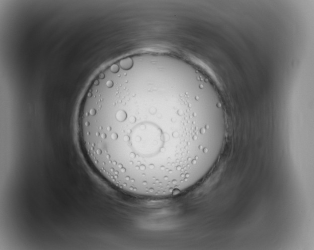 X0000099461471200805090737