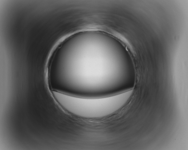 X0000099461472200805090737