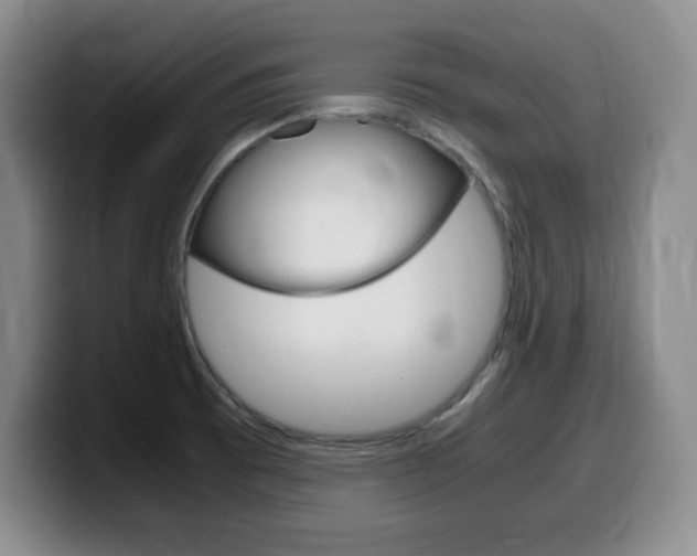 X0000099461473200805090737