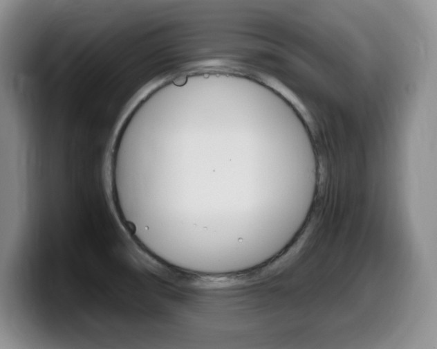 X0000099461474200805090737