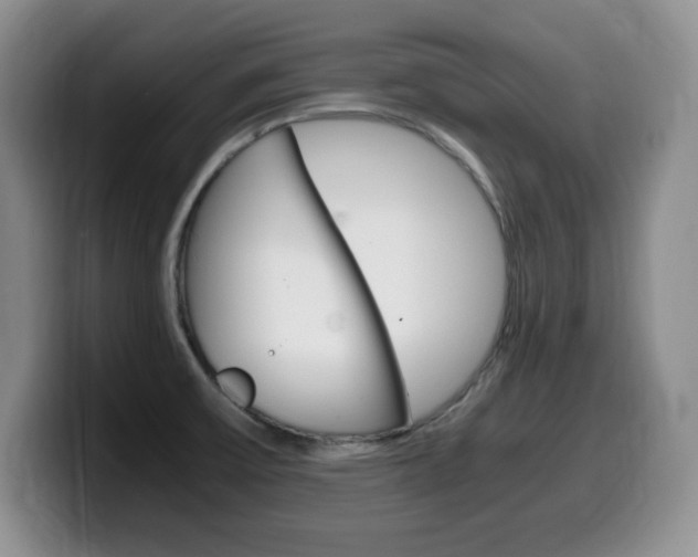 X0000099461475200805090737