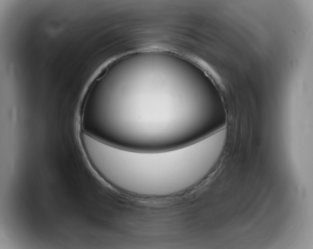 X0000099461476200805090737