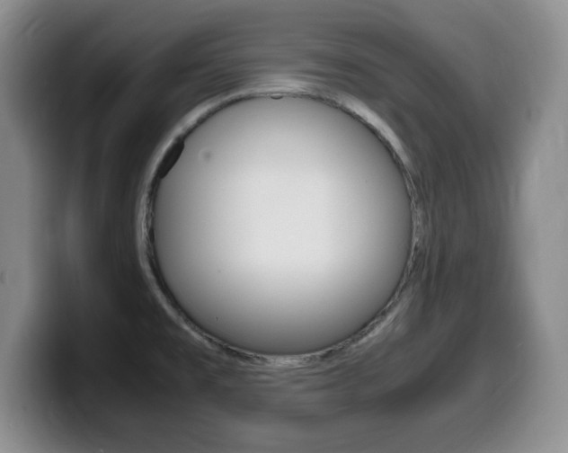 X0000099461477200805090737