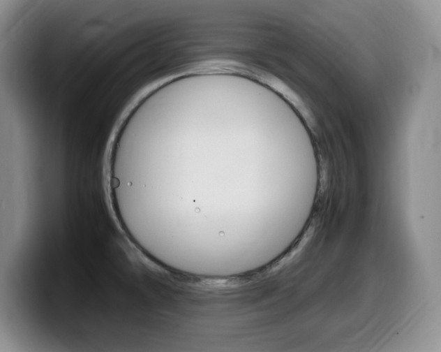 X0000099461478200805090737