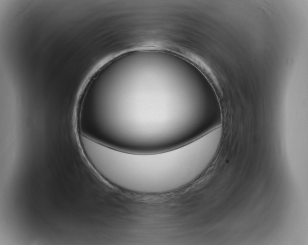 X0000099461480200805090737