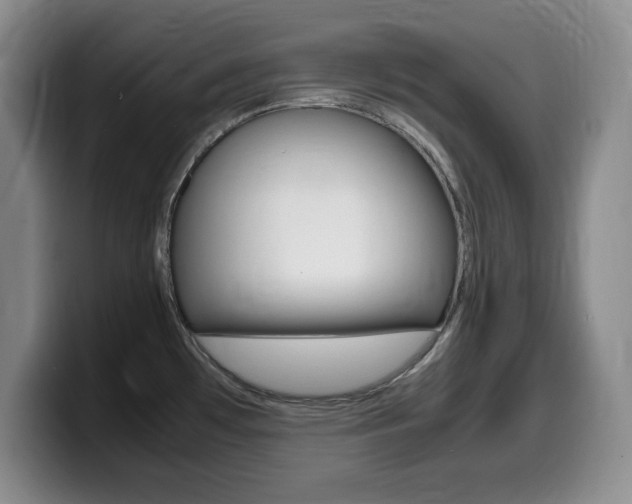 X0000099461481200805090737