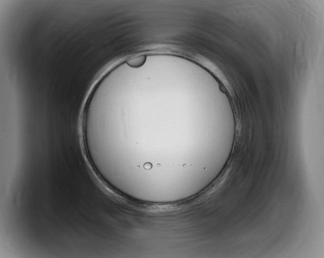 X0000099461482200805090737