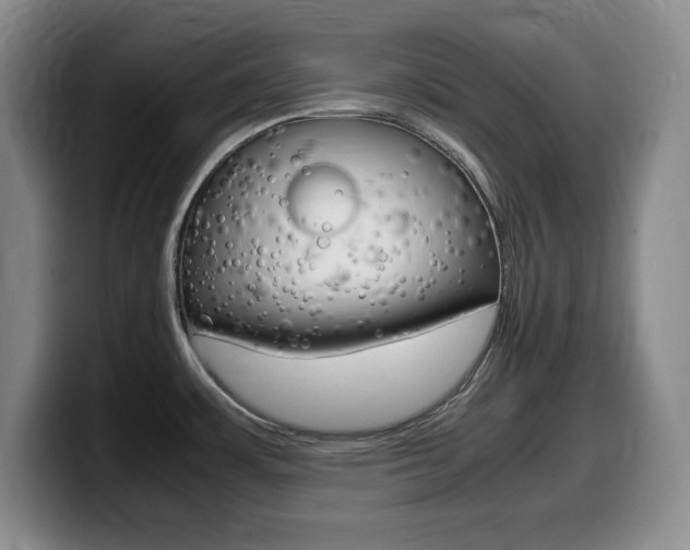 X0000099461483200805090737