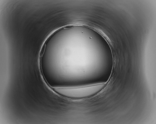 X0000099461484200805090737