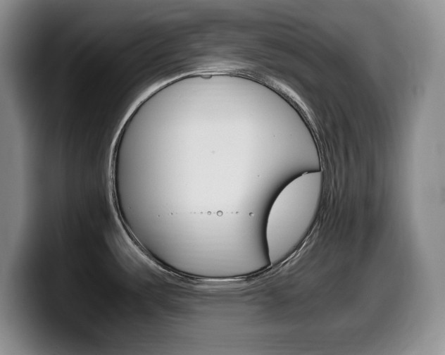 X0000099461487200805090737