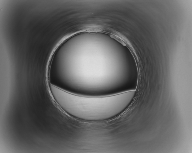 X0000099461488200805090737