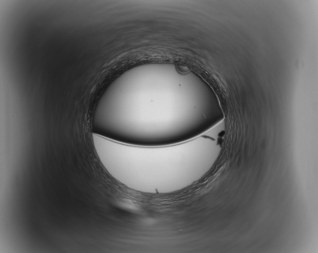 X0000099461490200805090737