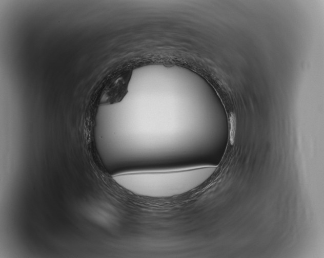 X0000099461491200805090737