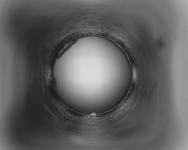 X0000099461492200805090737