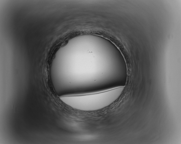 X0000099461493200805090737