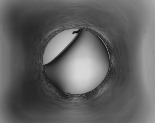 X0000099461494200805090737
