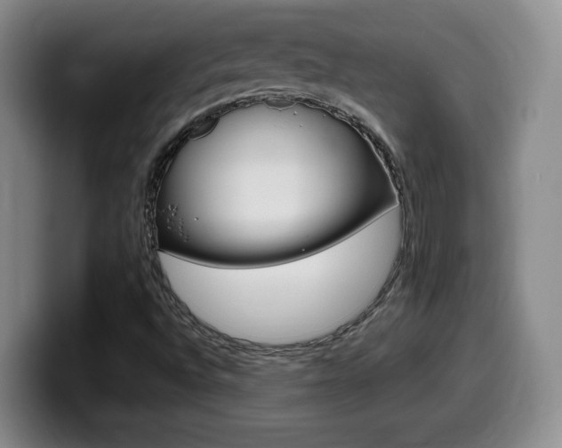 X0000099461496200805090737