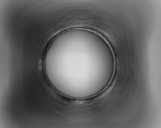 X0000099461497200805090737