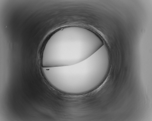 X0000099461498200805090737