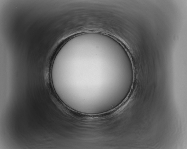 X0000099461499200805090737