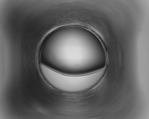 X0000099461500200805090737
