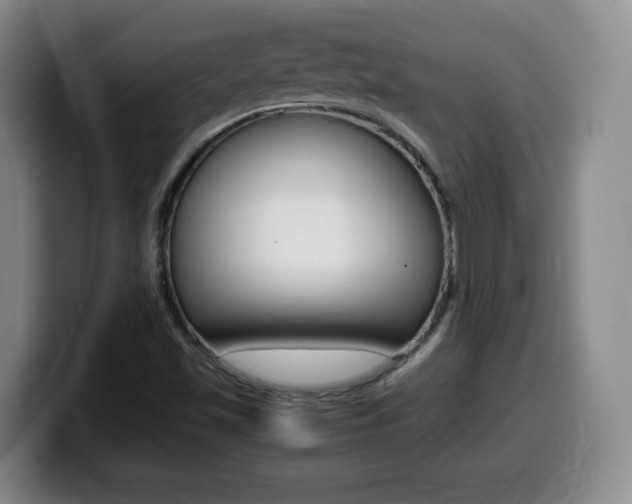 X0000099461501200805090737