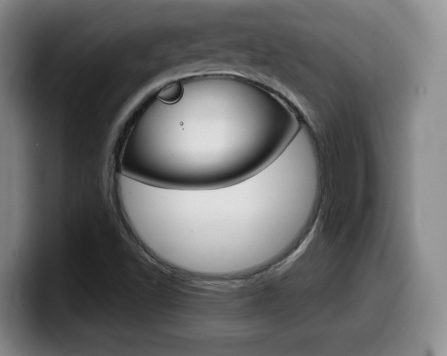 X0000099461502200805090737