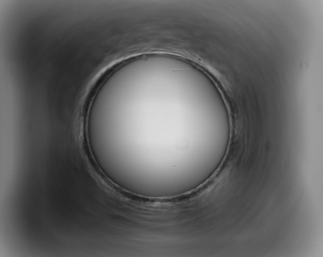 X0000099461503200805090737