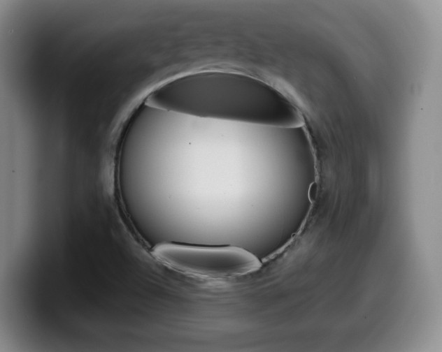 X0000099461504200805090737