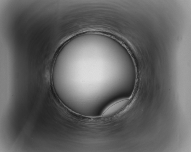 X0000099461505200805090737
