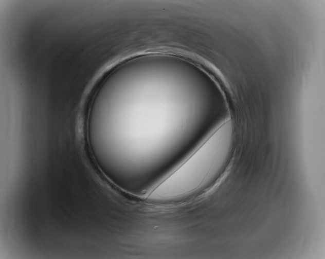 X0000099461506200805090737