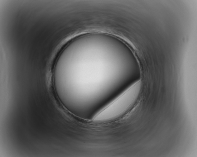 X0000099461507200805090737