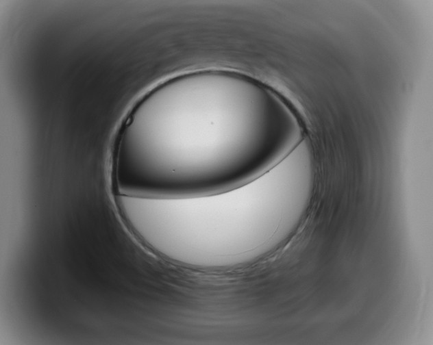 X0000099461508200805090737