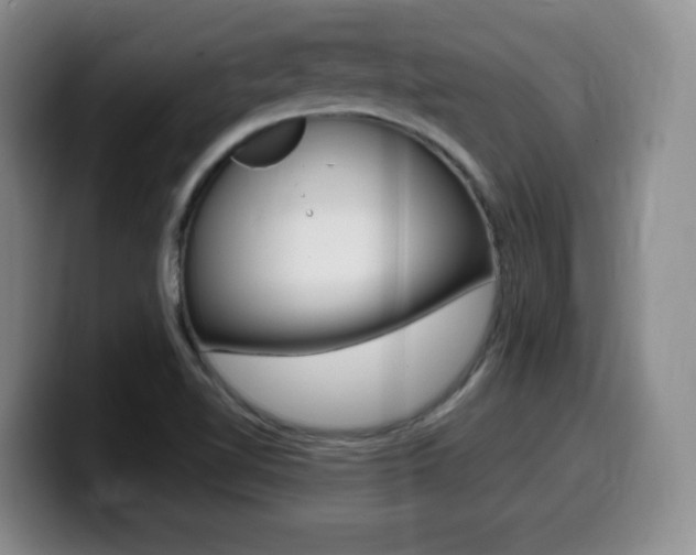X0000099461510200805090737