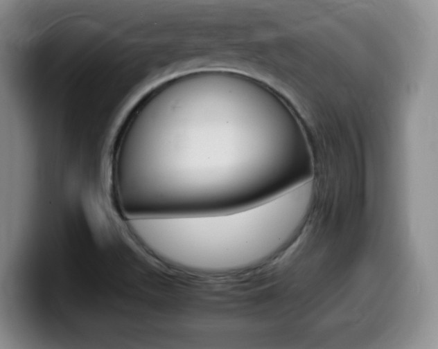 X0000099461511200805090737