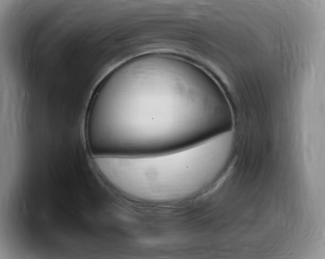 X0000099461513200805090737