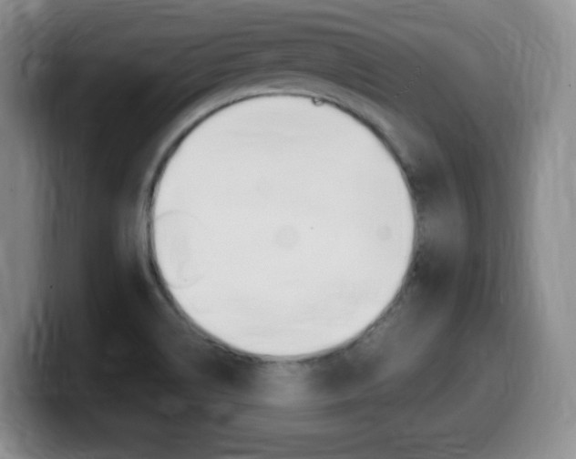 X0000099461514200805090737