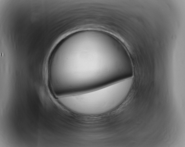 X0000099461515200805090737