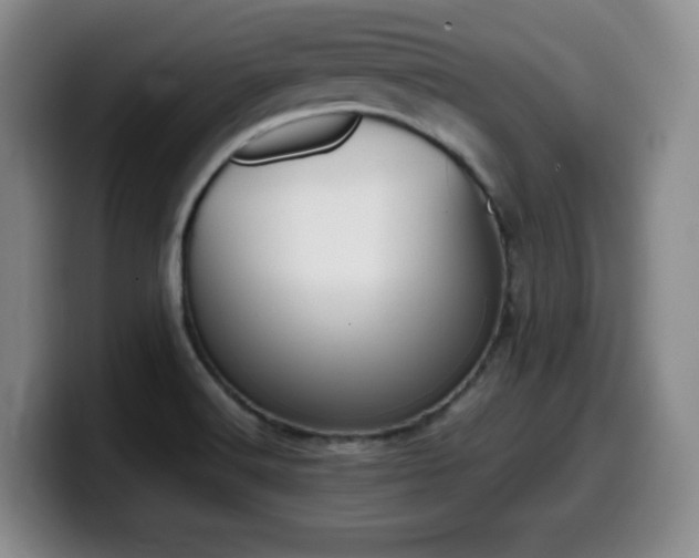 X0000099461516200805090737