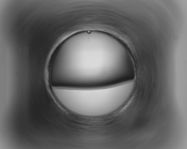 X0000099461517200805090737