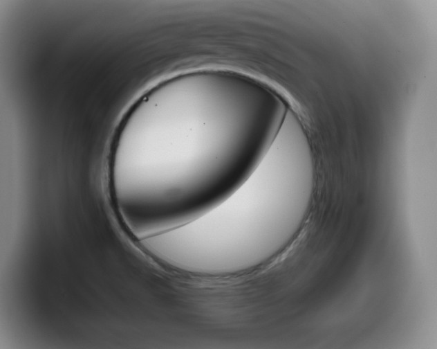 X0000099461518200805090737