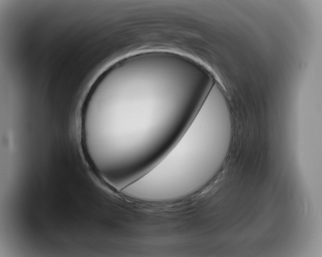X0000099461519200805090737