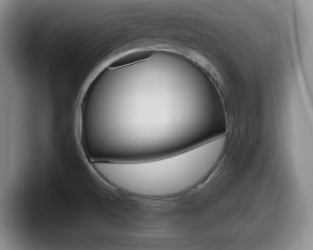 X0000099461520200805090737