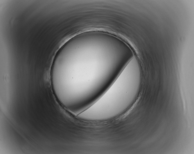 X0000099461521200805090737