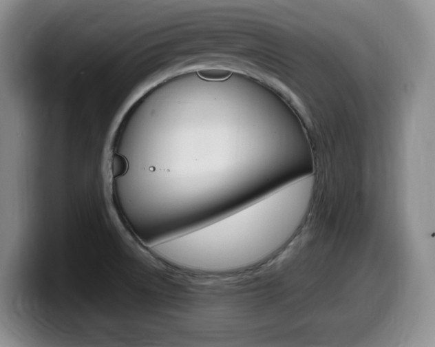X0000099461522200805090737