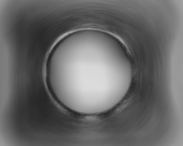 X0000099461523200805090737